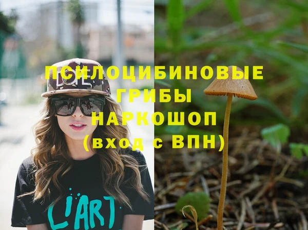 эйфоретик Армянск